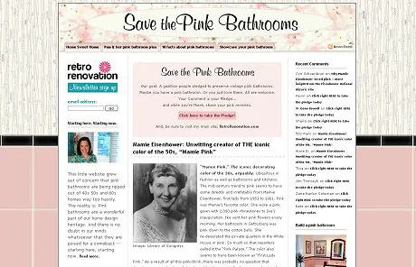 save-the-pink-bathrooms