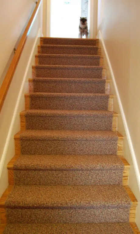 carpet-runner