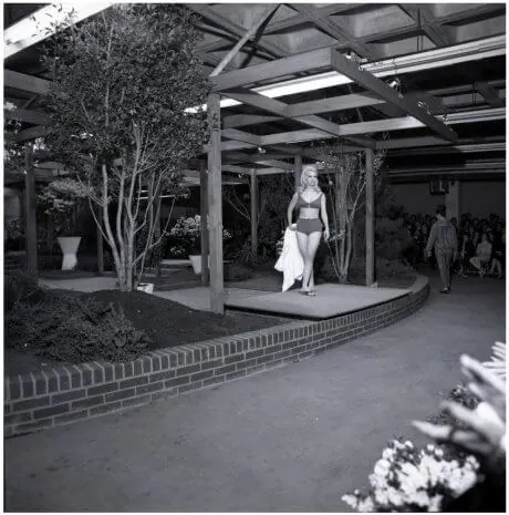 fashion-show-home-show