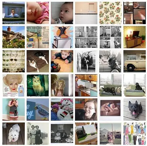 pams-flickr-favorites-march-10-2010