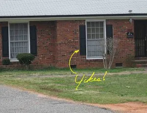 shutters-that-are-too-small