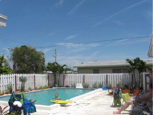 lynne-midcentury-pool