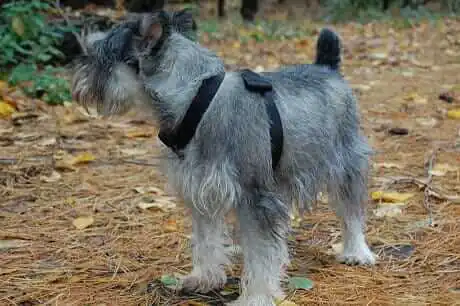 astro-kueber-fisher