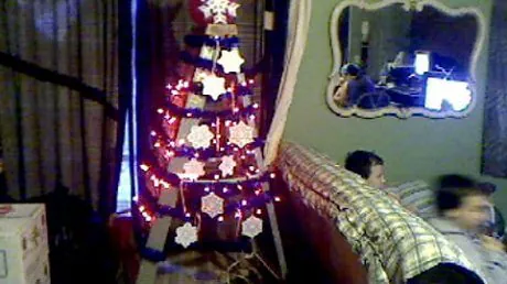 christmas-tree-built-around-a-moving-ladder