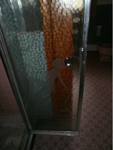shower door with a naked woman etching