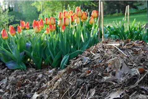 making-compost