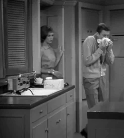 vintage-electro-sink-center-as-depicted-on-the-dick-van-dyke-show