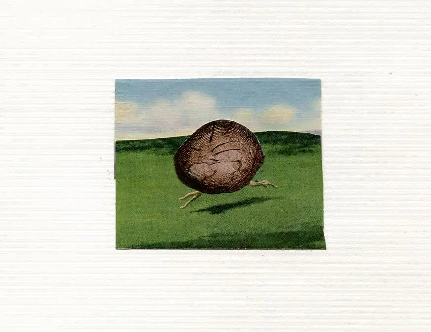 anne-taintor-potato-dog anne taintor original art