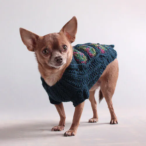 chrochet-dog-sweater granny square dog sweater