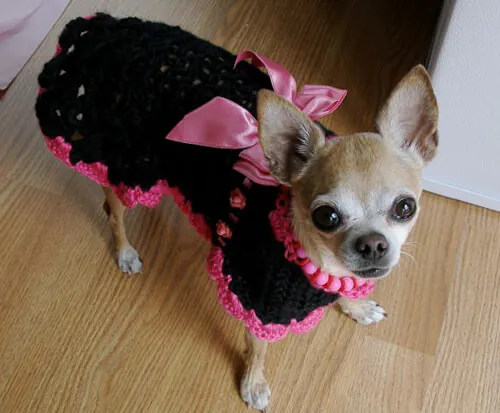 crochet-dog-sweater dog sweater pattern