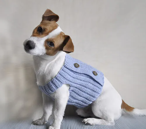 cute-dog-sweater pattern to knit dog sweater