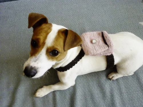 dog-backpack dog backpack