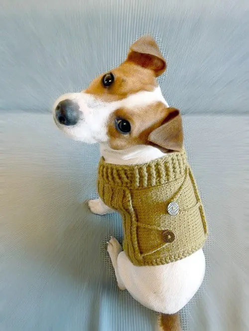 dog-sweater knitted dog sweater