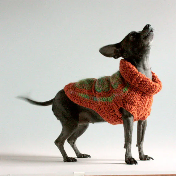 granny-squares granny square afghan sweater for a dog