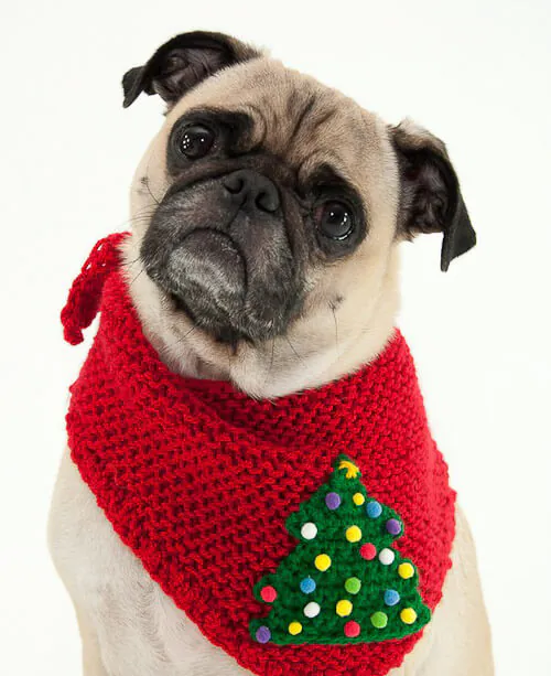 pug bandana for a dog