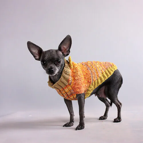 orange-dog-sweater 70s style dog sweater