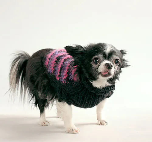 zigzag-dog-sweater dog sweater