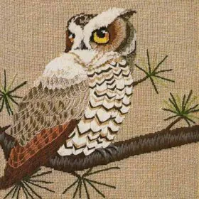 Erica Wilson owl