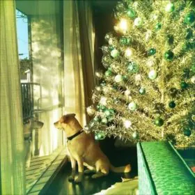 mid century modern christmas