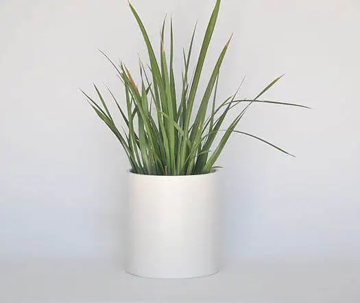 midcentury-modern-cylinder-planter-by-lagardo-tackett-for-architectural-pottery Cylinder planter by LaGardo Tackett for Architectural Pottery