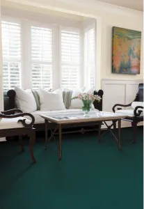 teal carpet