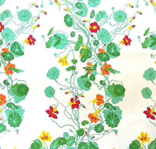 vintage-wallpaper-inez-croom-nasturniums