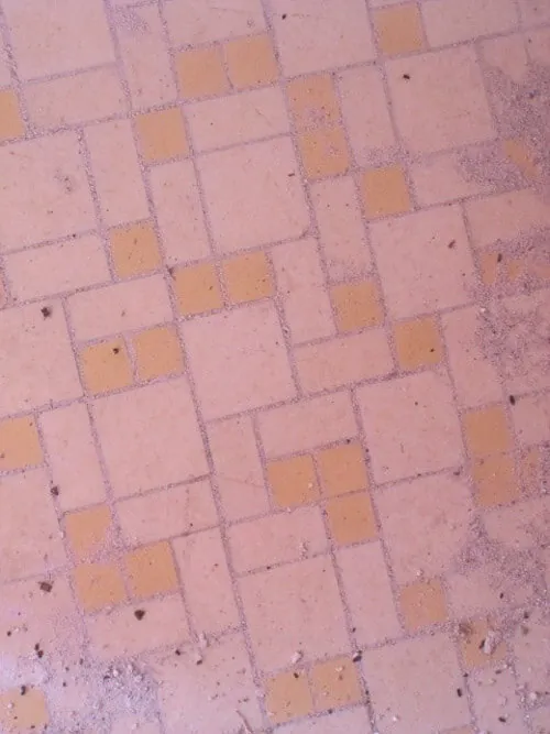 pink tile in gas station bathroom floor