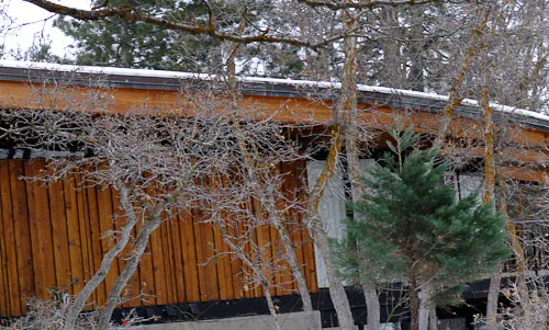 midcentury-modern-salt-lake-city-32