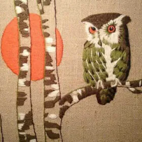 erica wilson owl