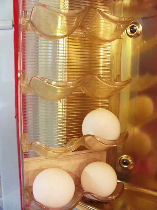 egg compartment of a vintage kelvinator foodarama