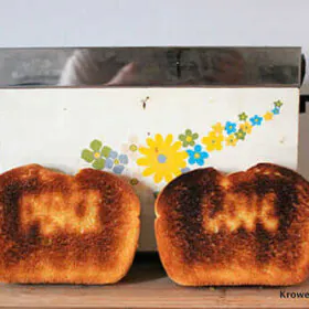 retro-groovy-toaster-woddity