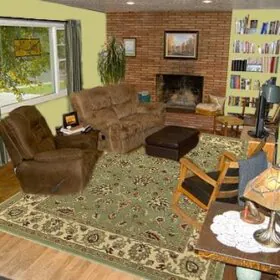 Living-room-green-bookshelf