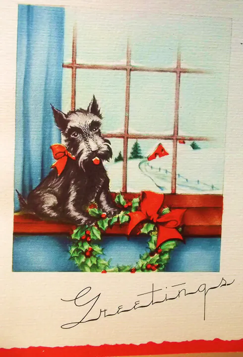 christmas-card-dog vintage christmas card schnauzer