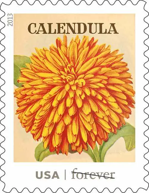 USPS-vintage-seed-packet-stamps-Calendula