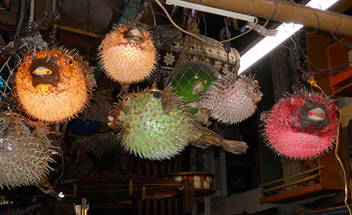 Pufferfish-lights-Oceanic-Arts