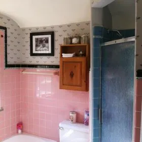 pink-bathroom-painted