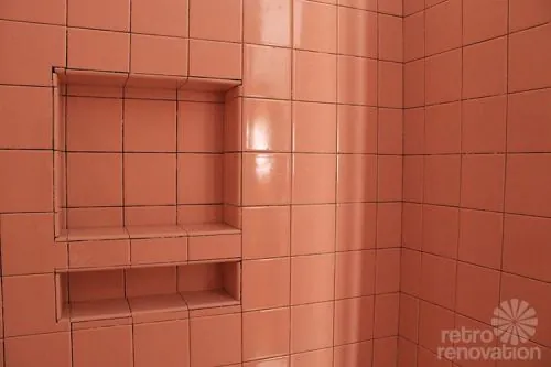 shower-niche-pink-ceramic-tile