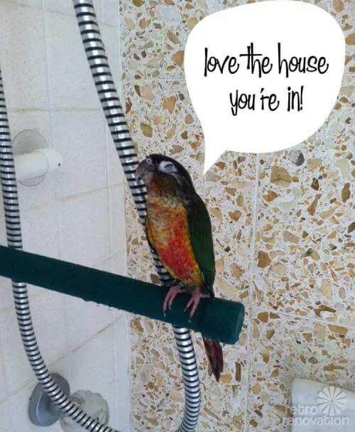 basil-love-the-house