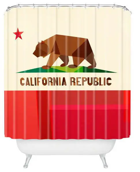 California flag