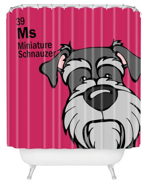 miniature schnauzer
