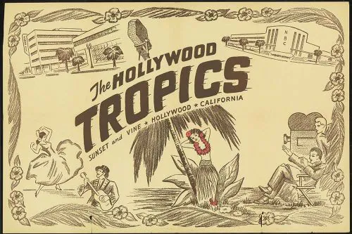 hollywood tropics