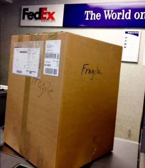 fed ex-1-2