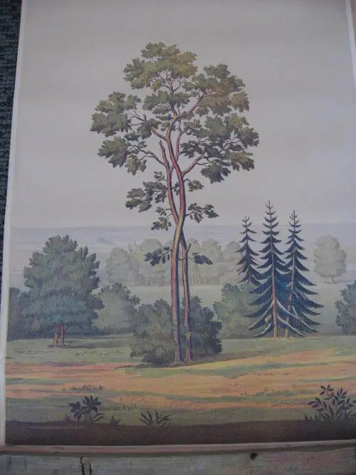 vintage wallpaper mural