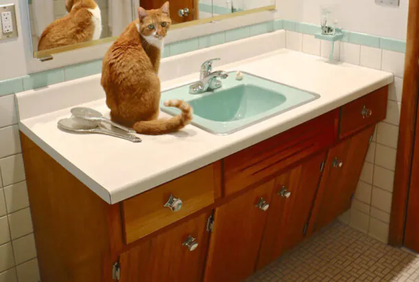 Sinks and Vanities