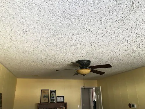 textured flower print ceiling