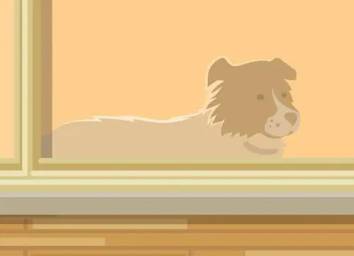 new-leo