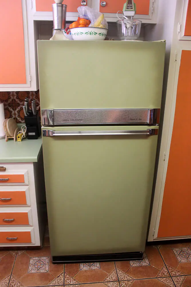 avocado refrigerator