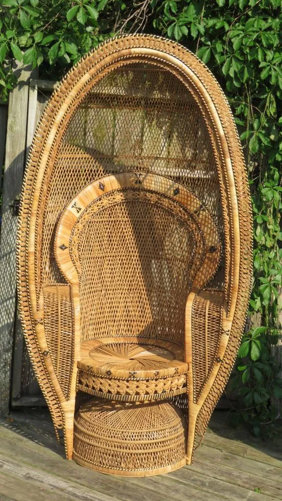 balloon-peacock-chair
