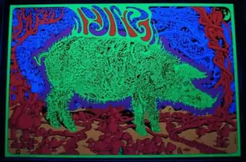 electric pic blacklight poster brady bunch house